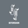 Feature-Icon-BiTorsion.jpg