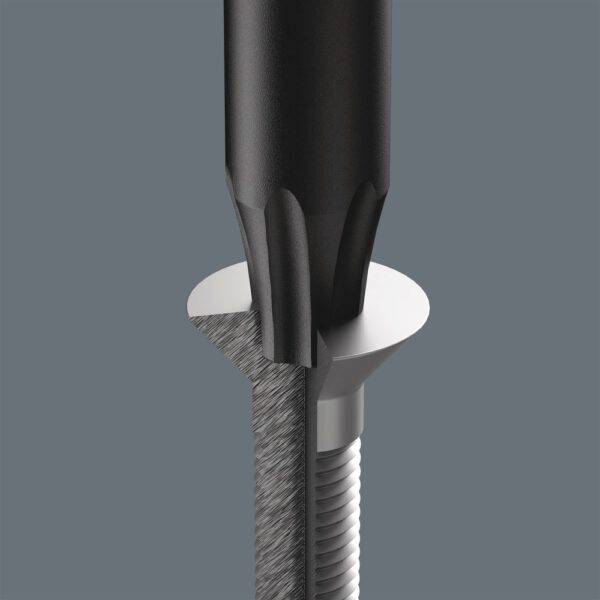 blackpoint-micro-torx.jpg